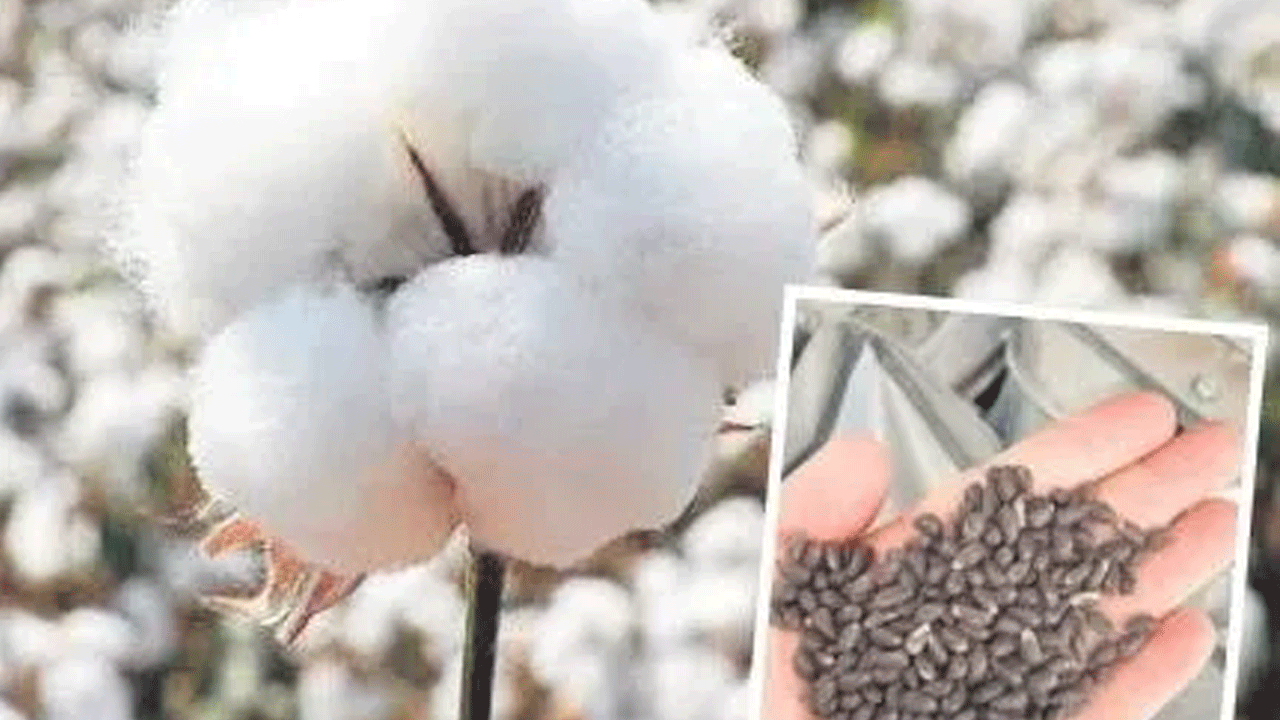 GDO skandalı patlak verdi! Kimya şirketine 12 yıl hapis istemi