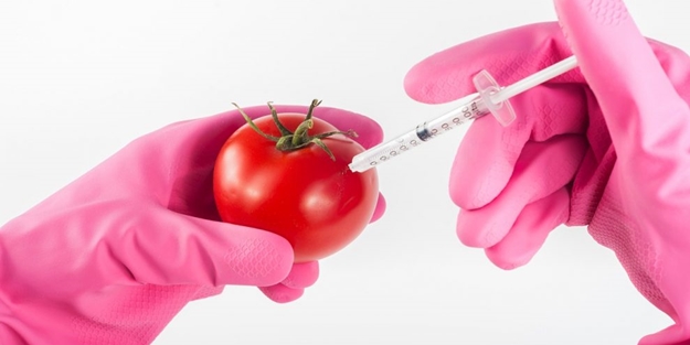 GDO’lu besinlere dikkat!