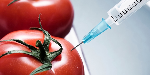 GDO’lu ürünler ilahi gazabı celbedebilir!