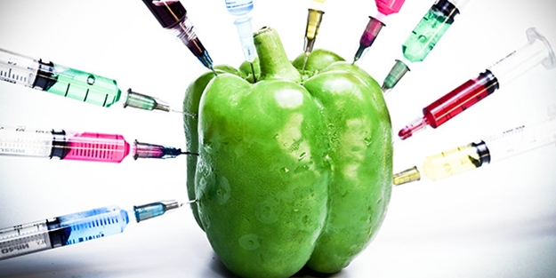 GDO'lu ürünler tarlada yasak, ithalatı serbest!