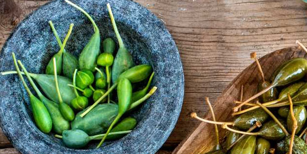 Gebre (Kapari) otu: Sümerlerin vazgeçemediği küçük ot!