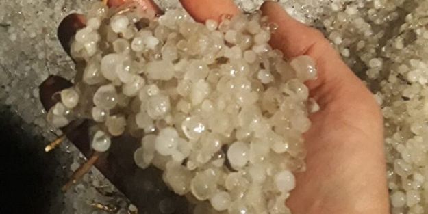 Gece bir anda etkisini gösterdi! Ayçiçek ve buğday tarlalarını dolu vurdu