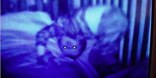 Gece çekim yapan bebek kameralarına bakınca...