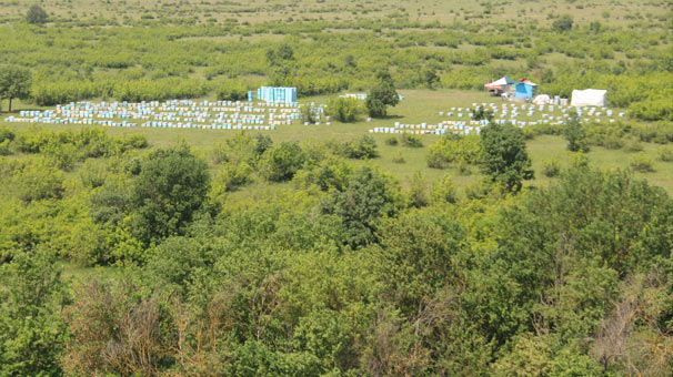 Gece gündüz başında bekliyorlar!
