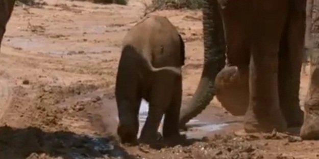 Gece uyanıp ışığı bulamayınca...