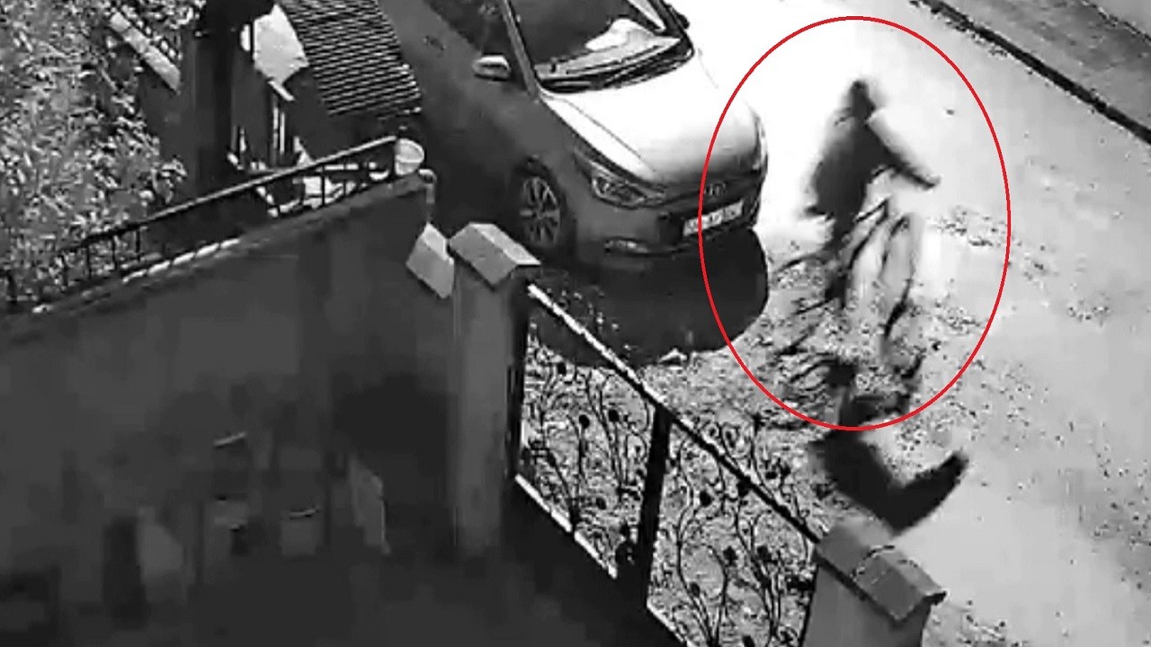 Gece yarısı bisiklet hırsızlığı