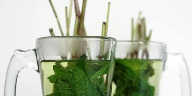 Gece yatmadan bunu için ve karaciğeriniz tertemiz olsun