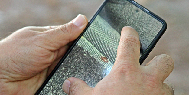 Geceleri sessizce saklanıyorlar! İnsanın uyumasını bekleyip bir anda saldırıya geçiyorlar