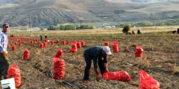 Geçen yıl 5 liraydı, bu yıl 1 lira!