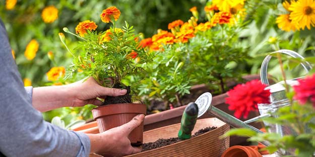 Gecen yıl 6 sektörde tüm zamanların ihracat rekoru kırıldı