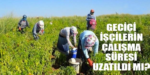 Geçici işçiler kadroya alınacak mı? Mevsimlik işçilerin çalışma süreleri uzatıldı mı?