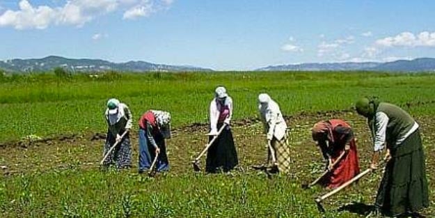 Geçici mevsimlik orman işçilerine kadro var mı?