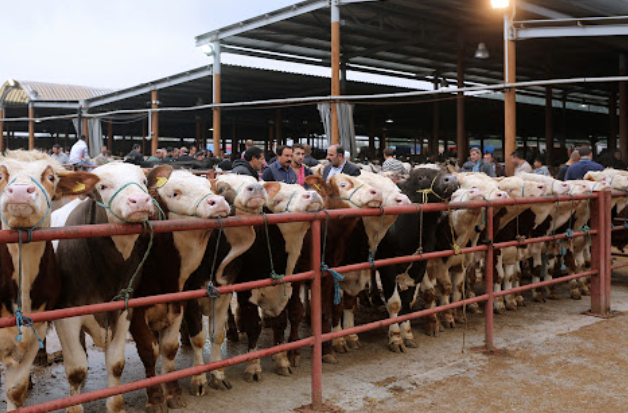 Geçici olarak kapatılmıştı! Yeniden açıldı