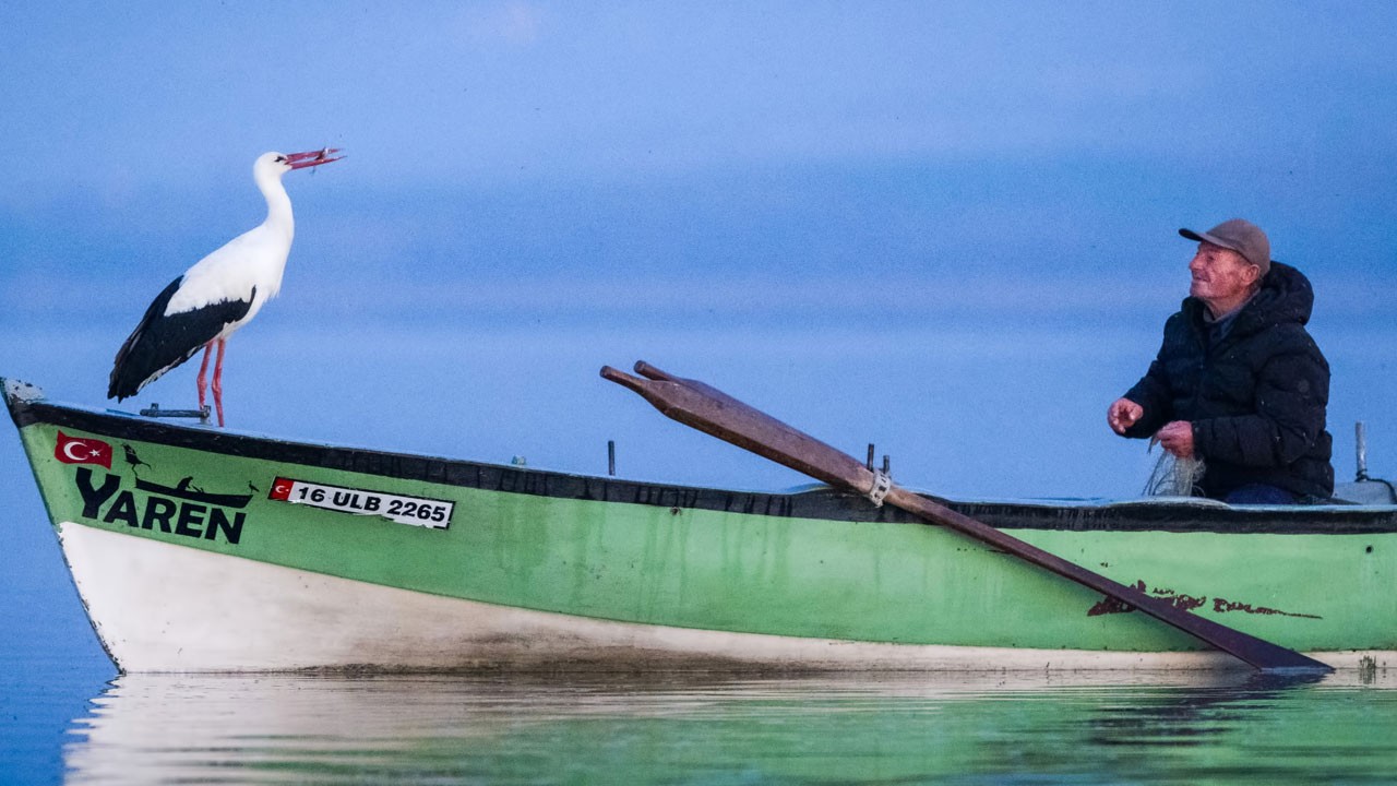 Gecikmeli gelen mutluluk: Yaren Leylek 14. kez Adem Amca’nın kayığında!