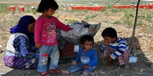 Geçim için göçebe hayatı yaşıyorlar