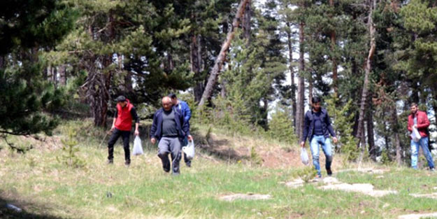 Geçim kaynağı oldu! Ormandan toplayıp kilosunu bin liraya satıyorlar