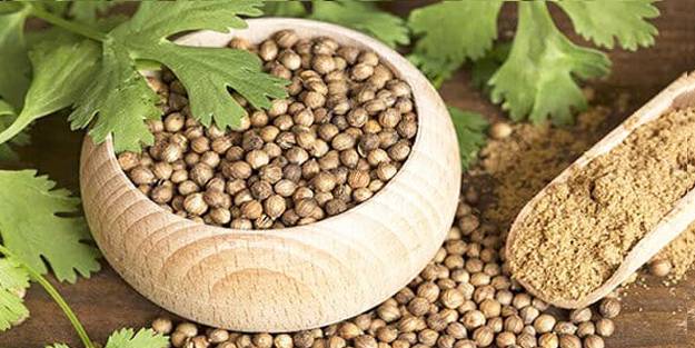 Geçiş aylarında kişnişi ihmal etmeyin!