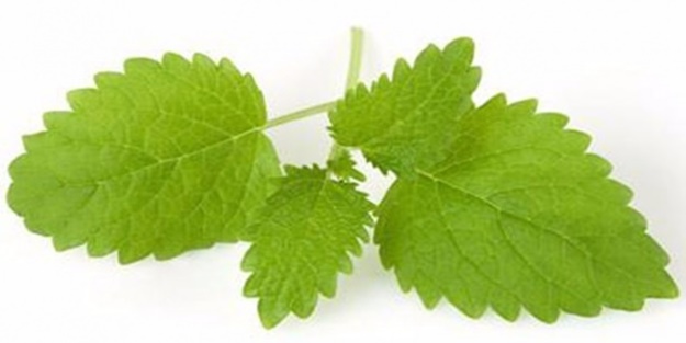 Geçmeyen baş ağrılarından şikayetçiyseniz...