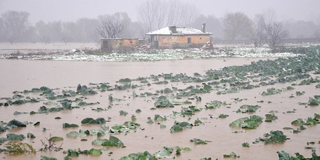 Gediz Nehri taştı 22 bin tavuk telef oldu