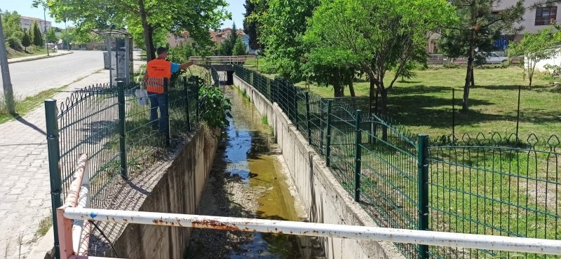 Gediz’de ilaçlama çalışmaları başladı 