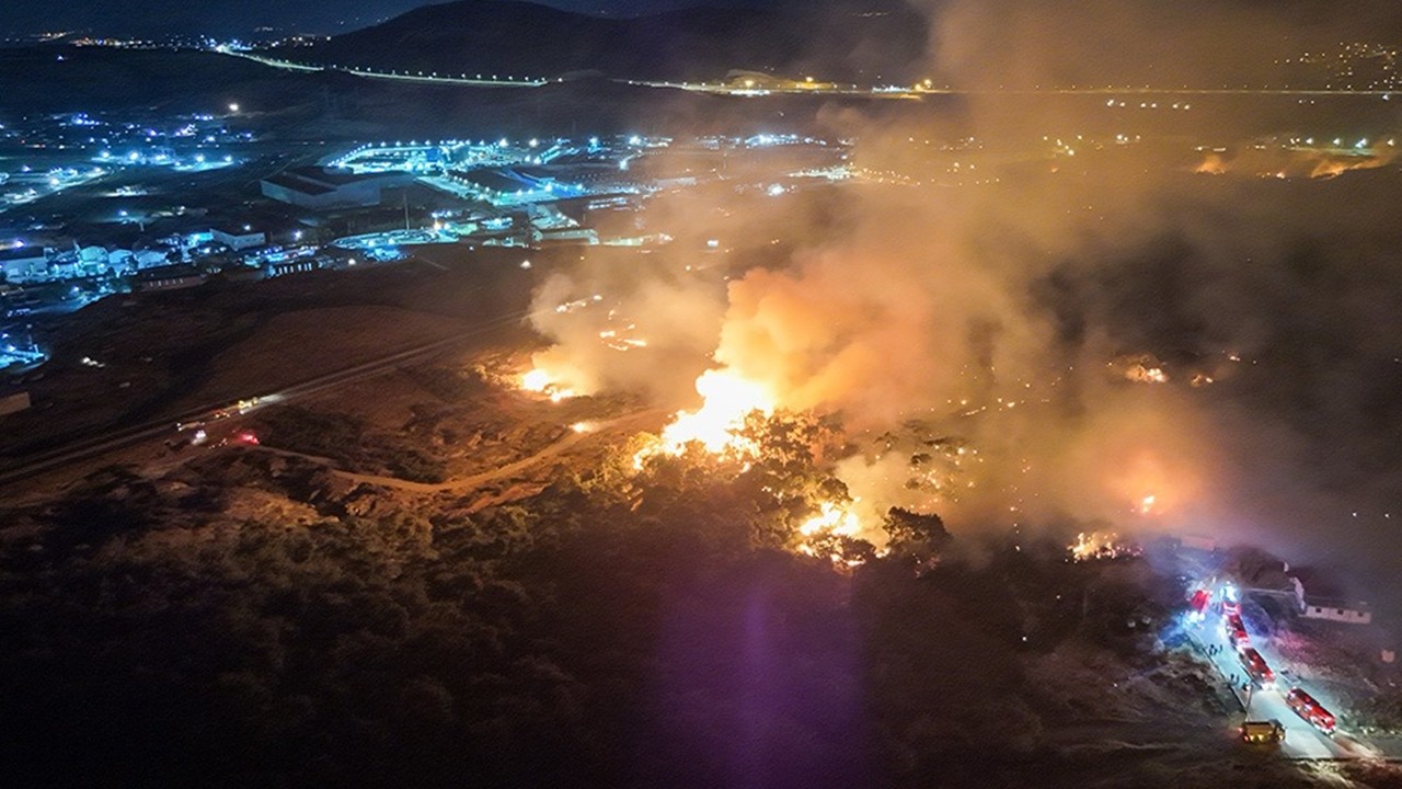 Gelecek nesillere ormanları bırakabilmek: Herkesin görevi var