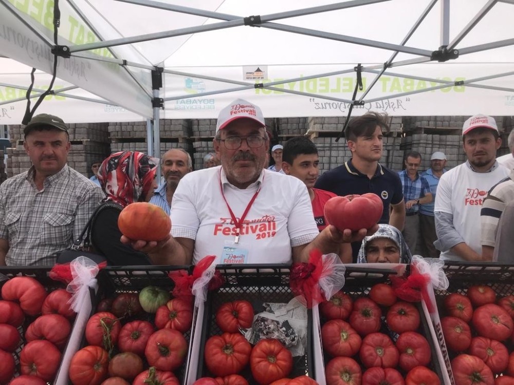 Geleneksel 3. Boyabat Domates Festivali 