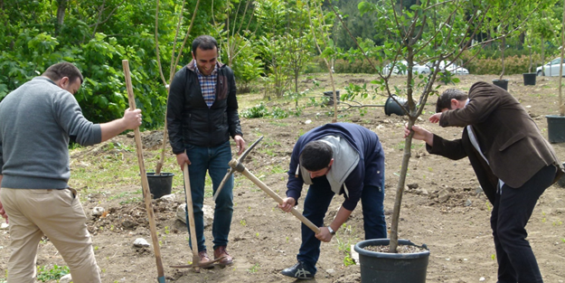 Geleneksel 8. Şube Eğitim Bir Sen YTÜ Davutpaşa Kampüsü ağaç dikme şenliği