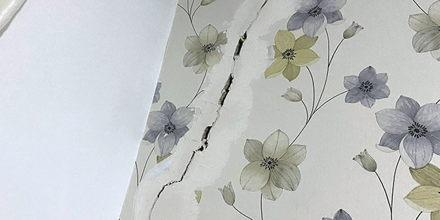 Gelenler bakın neden hemen kaçıyorlar! Aldığı yeni ev adeta kâbusu oldu