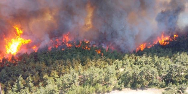 Gelibolu Yarımadası'nda korkunç yangın! Dehşete düşüren görüntüler