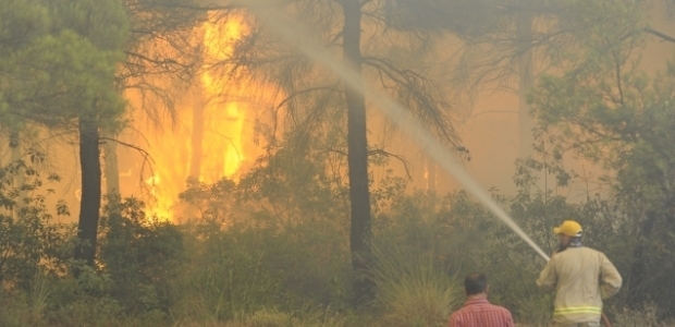 Gelibolu Yarımadası'nda orman yangını