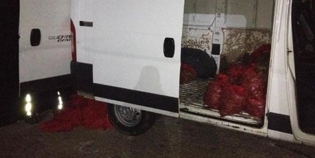 Gelibolu'da 2 ton kaçak kum midyesi ele geçirildi