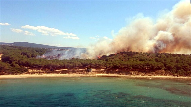 Gelibolu'da orman yangını çıktı
