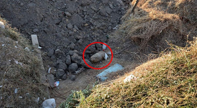 Gelibolu'da patlamamış top mermisi bulundu