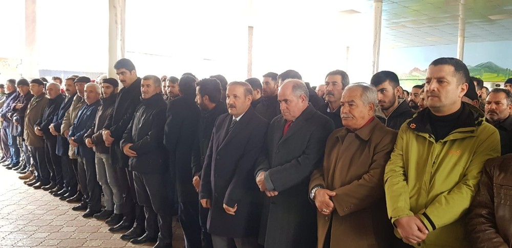 Gelin görümce iki saat arayla vefa etti 