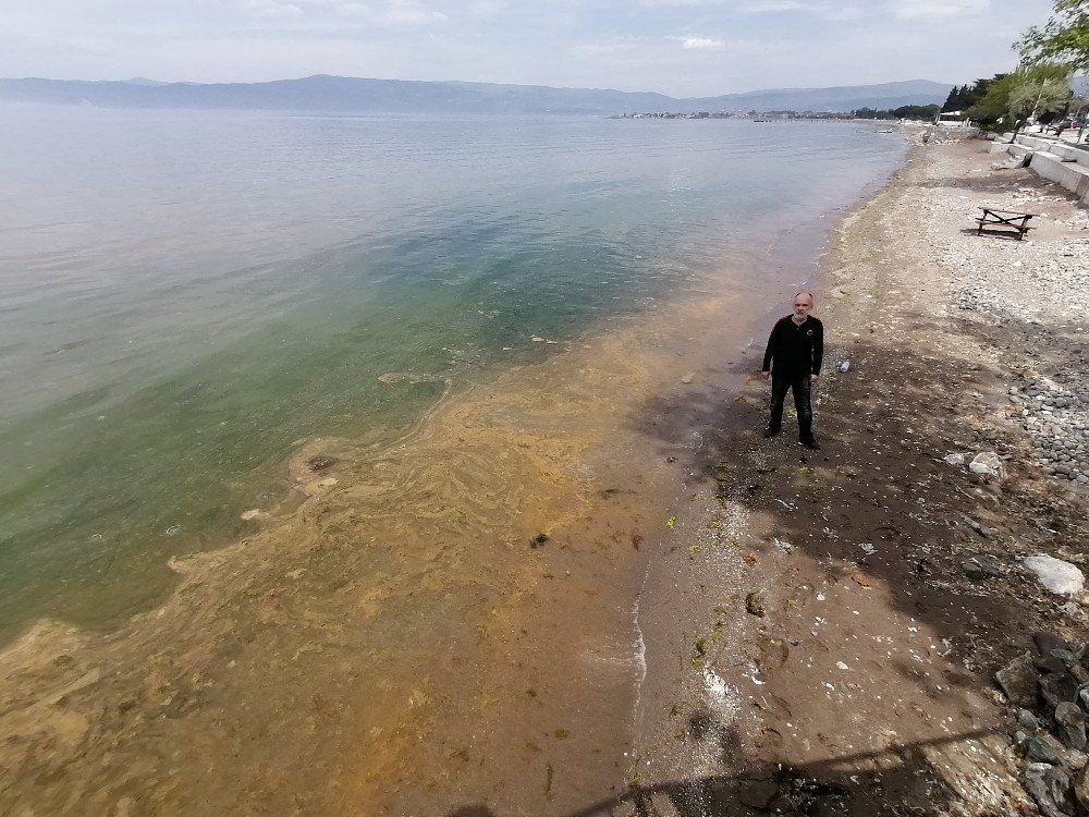 Gemlik Körfezi’nde şaşkına çeviren görüntü 
