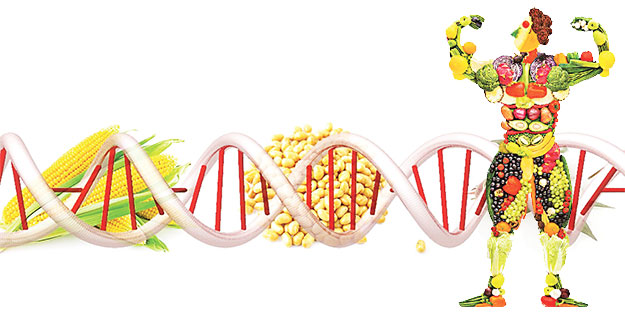 'Gen' yapımıza göre besleneceğiz