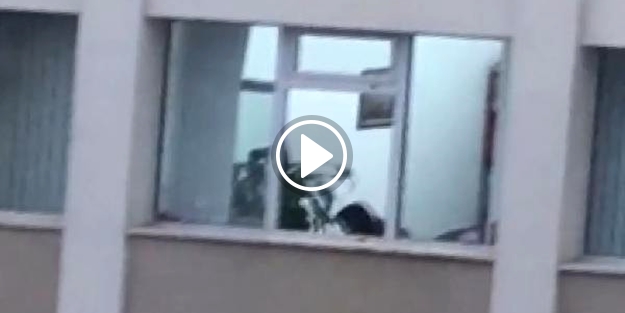 Genç akademisyenin öldürülmesinden sonra yaşananlar anbean kamerada