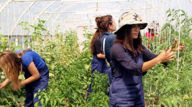 Genç çiftçi desteği başvuruları için yarın son gün