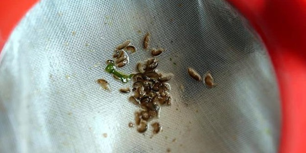 Genç girişimci Türkiye'de bir ilki başardı