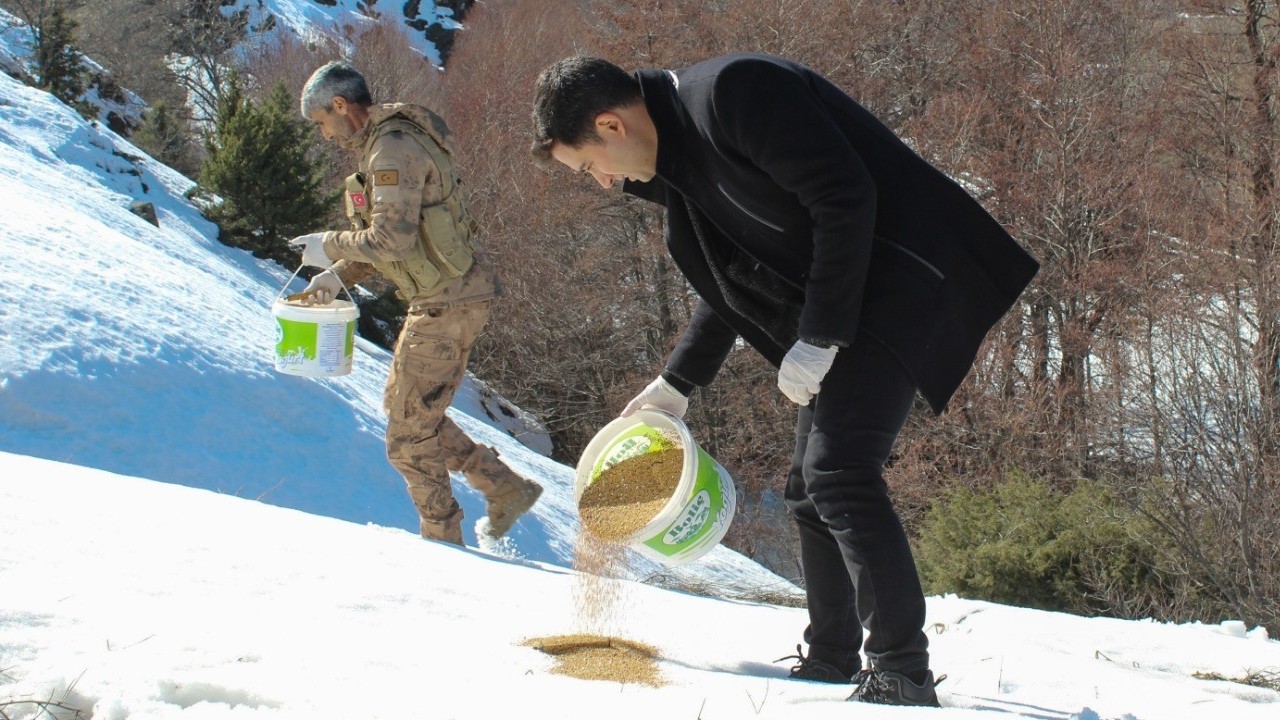Genç ilçesinde yaban hayatı için destek harekatı