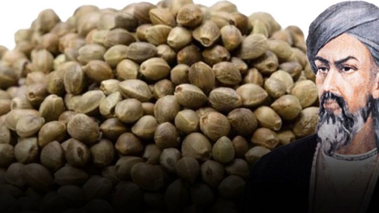 Genç kalmanın sırrı: İbn-i Sina asırlar önce o tohumu tavsiye etti! Bunu siz de deneyin