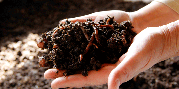 Genci yaşlısı herkes bu işe başladı… Artık sıkı denetim geliyor!