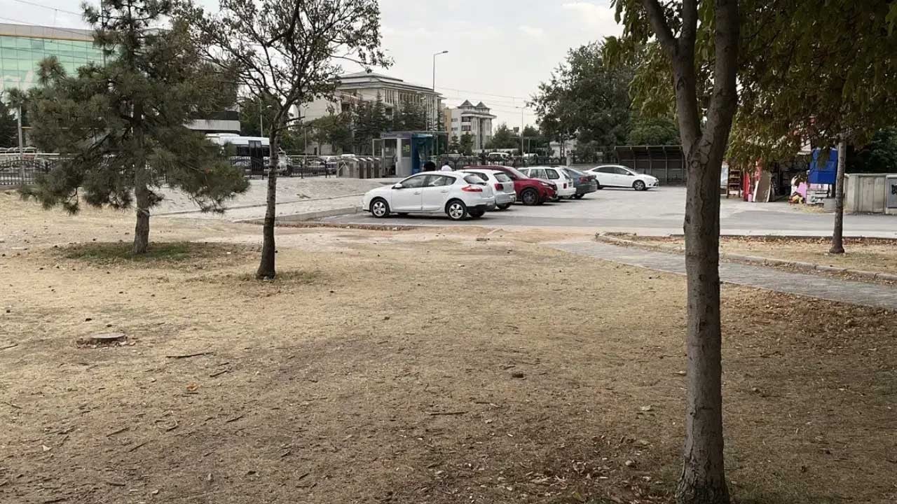 Gençler arasındaki anlaşmazlık, sağlık ve güvenlik ekiplerini harekete geçirdi