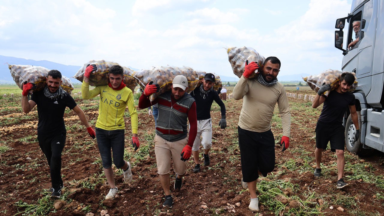 Gençler iş beğenmiyor! Bu işi yapan günlük 2 bin 500 TL kazanıyor
