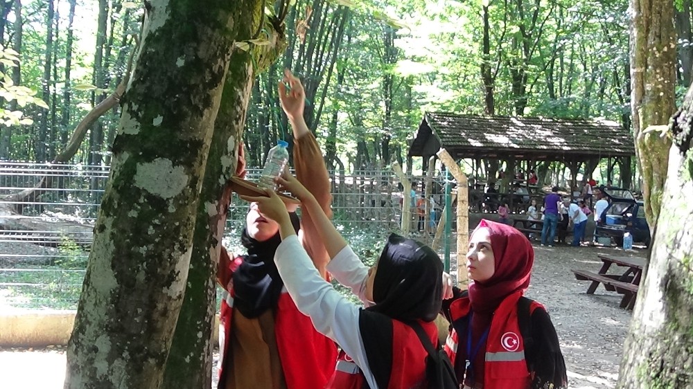 Gençler, kuşlar için ağaçlar yemlik astı 