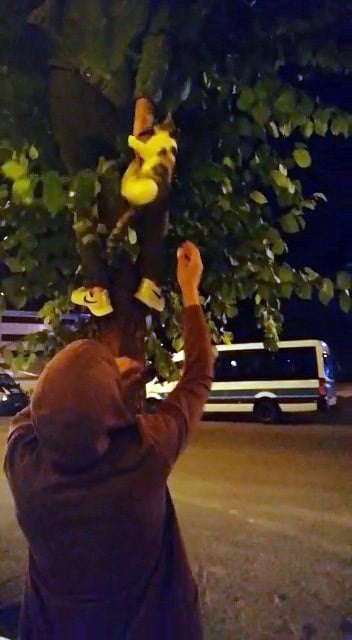 Gençlerden kedi kurtarma operasyonu 
