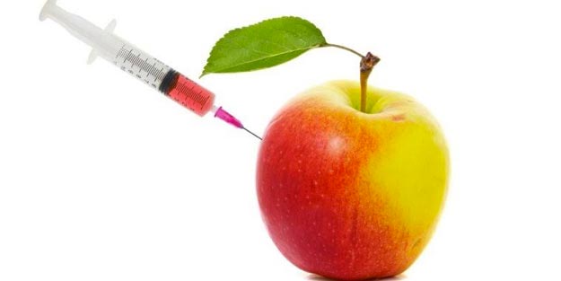 Genetiği değiştirilmiş gıdalardan elde edilen yağların zararları nelerdir?