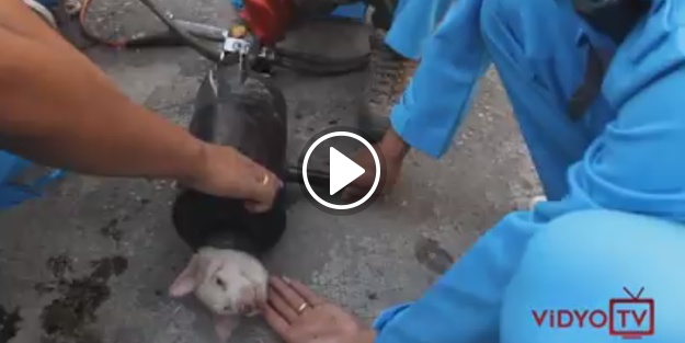 Gerçek 'süper kahramanlar' aramızda yaşıyor