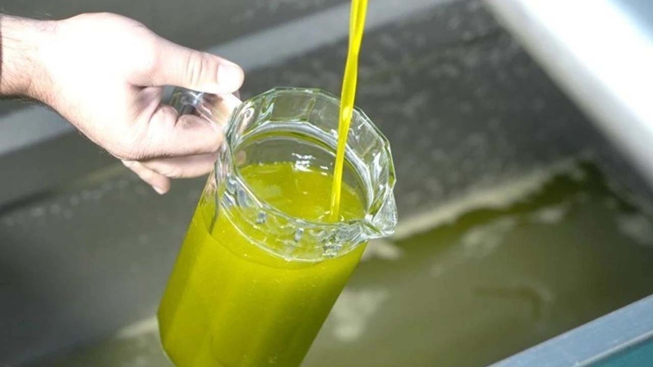 Gerçek zeytinyağını koklayarak anlayabilirsiniz!