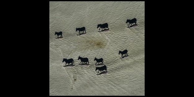 Gerçekler, uzaktan gördüğünüz gibi olmayabilir!